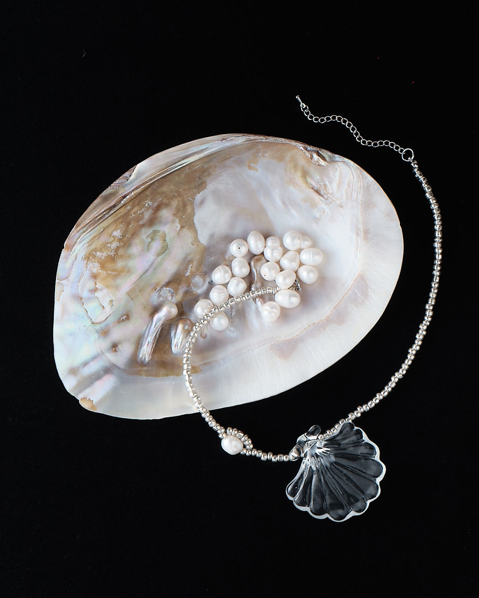 Seashell Symphony Necklace